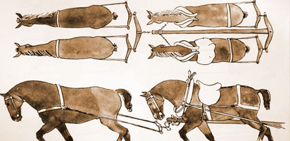 Colliers de chevaux