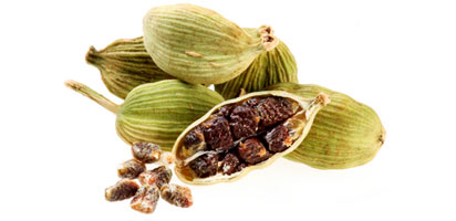 Cardamome