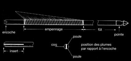 Anatomie de la flèche